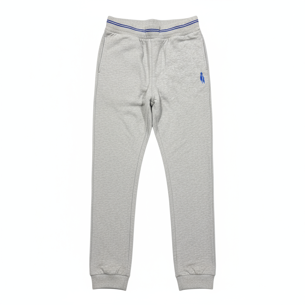 The City School Grey Sports Trouser with Blue Strips