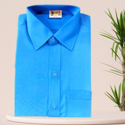 Regular Sky Blue Shirt