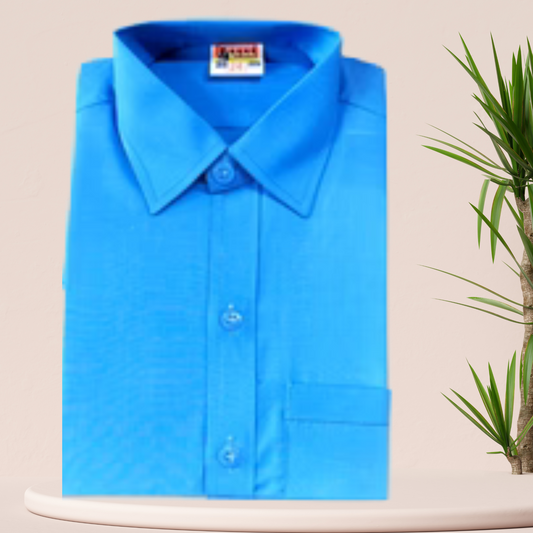 Regular Sky Blue Shirt