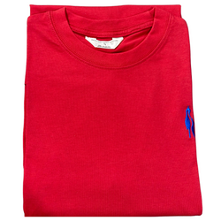 THE CITY SCHOOL SPORTS SHIRT RED