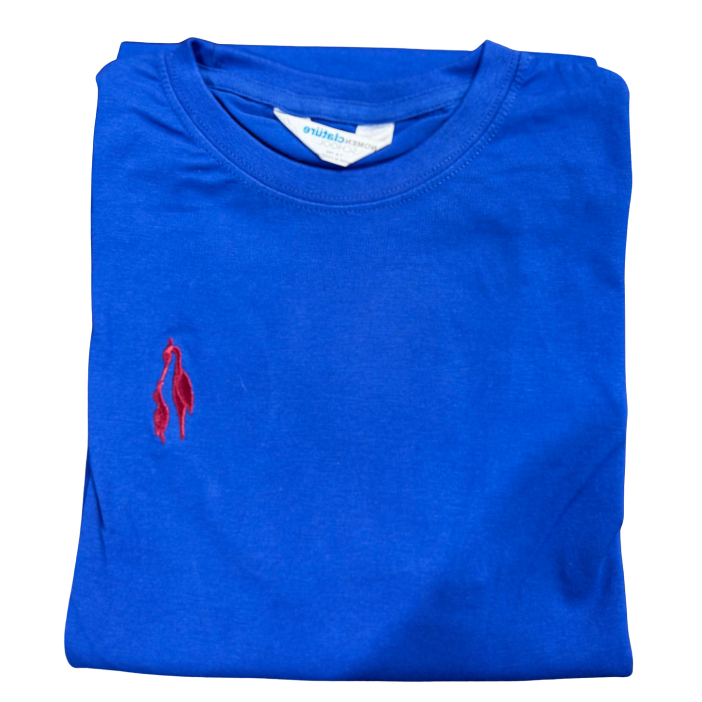 The City School Sports Shirt Shirt - Blue