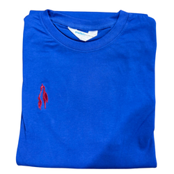 THE CITY SCHOOL SPORTS SHIRT BLUE