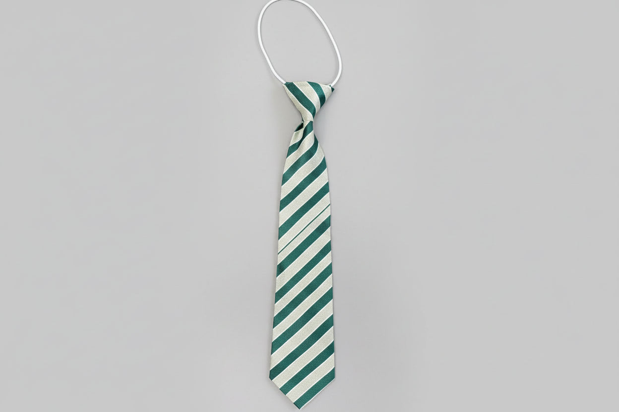 TSS School Tie (Small)