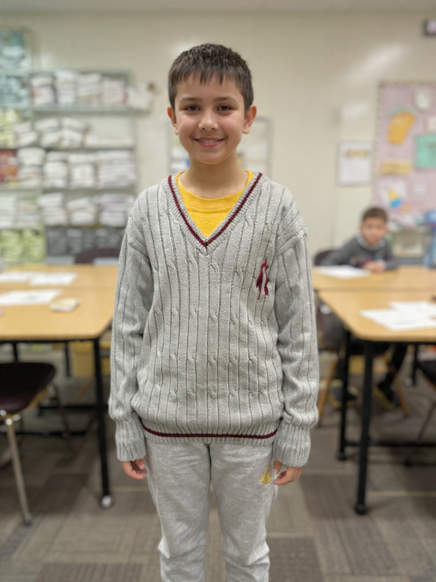 TCS Sweater-Sleeveless